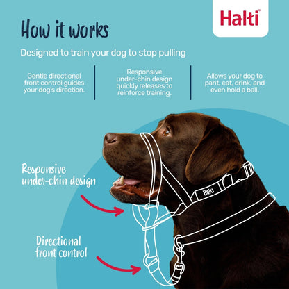 Halti Training Headcollar - Stop Pulling Dog Collar No Pull Solution Red / Black