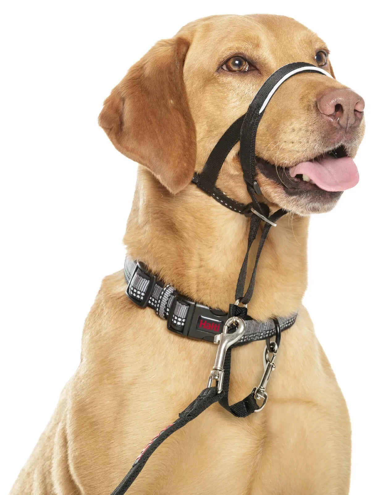 Halti Training Headcollar - Stop Pulling Dog Collar No Pull Solution Red / Black