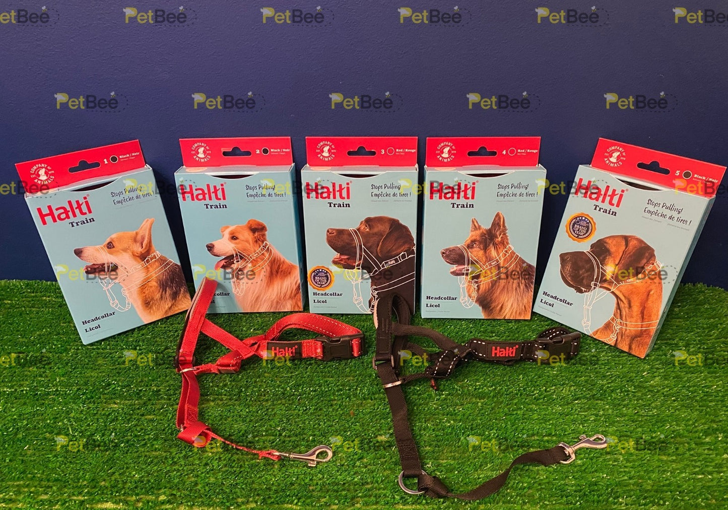 Halti Training Headcollar - Stop Pulling Dog Collar No Pull Solution Red / Black