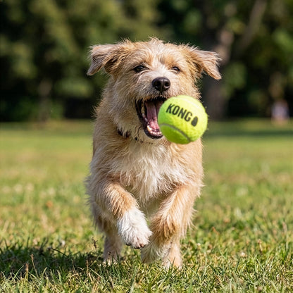 KONG AirDog SqueakAir Tennis Balls