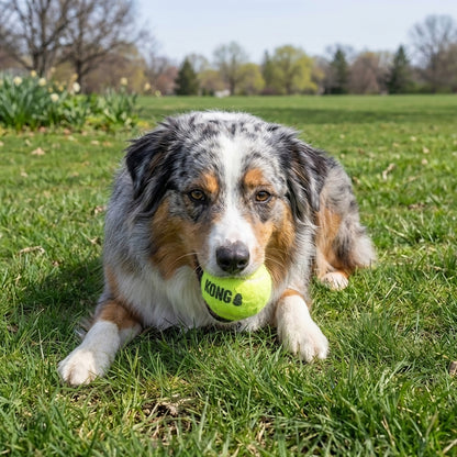 KONG AirDog SqueakAir Tennis Balls