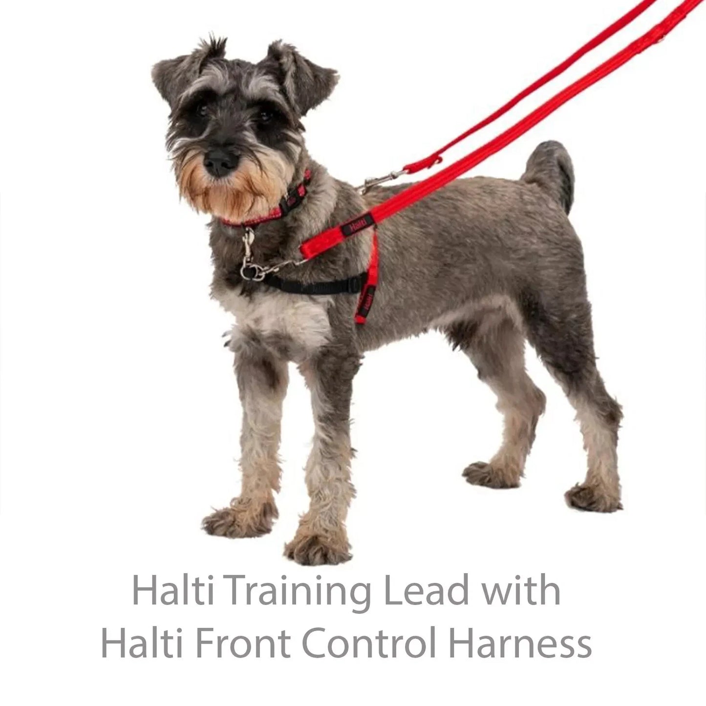 Halti Training Lead - Double Ended Dog Lead