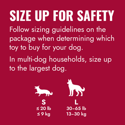 KONG Flyer - Puppy, Classic & Extreme