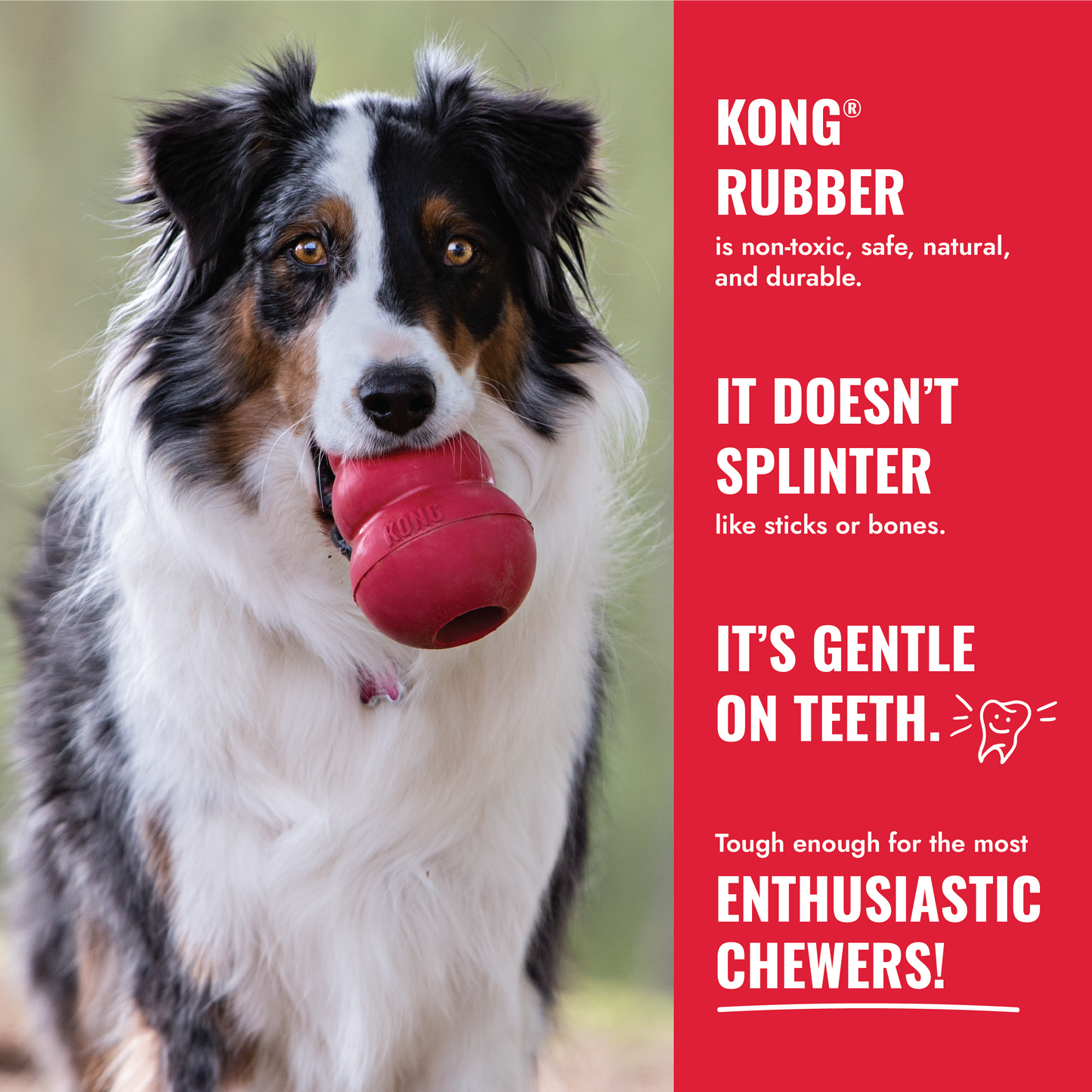 KONG Flyer - Puppy, Classic & Extreme