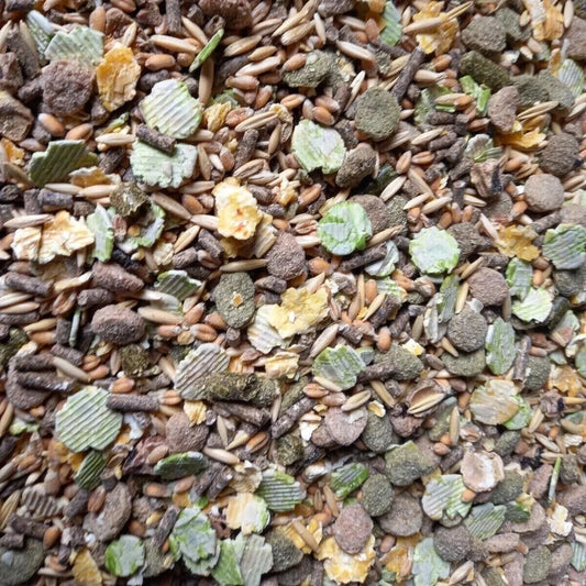 Rabbit Food - Plain or Fruity