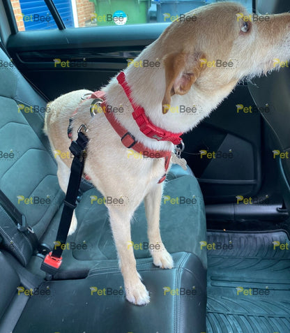 Car Safety Belt - Adjustable Dog Seat Belt
