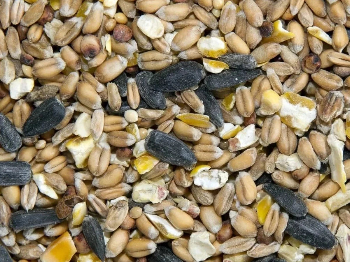Wild Bird Seed Mixture - Wild Bird Food