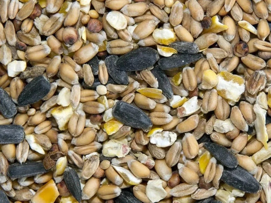 Wild Bird Seed Mixture - Wild Bird Food