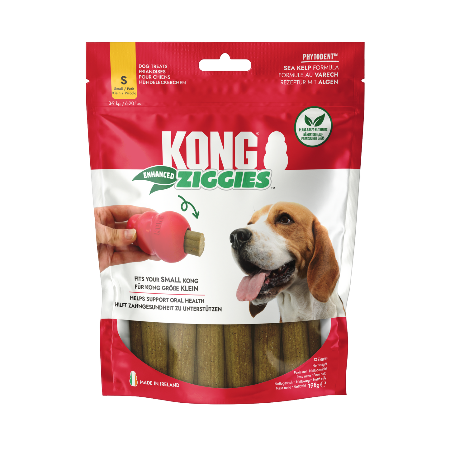 KONG Ziggies