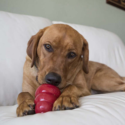 KONG Ziggies